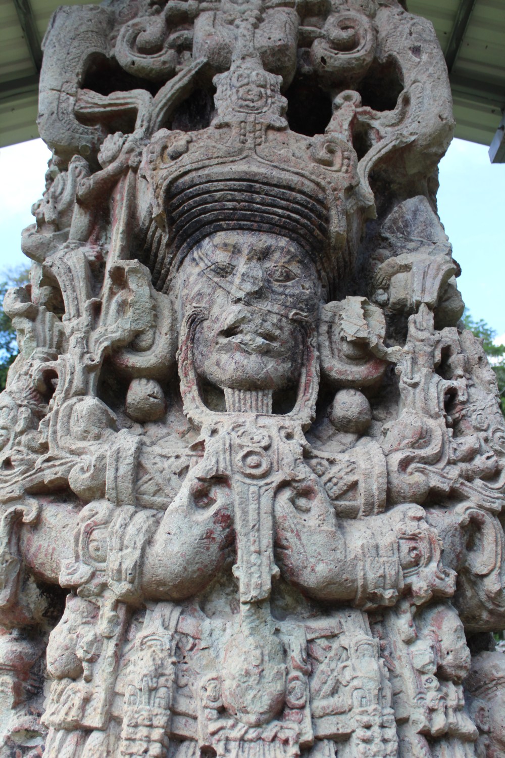 20181122095124_IMG_2220