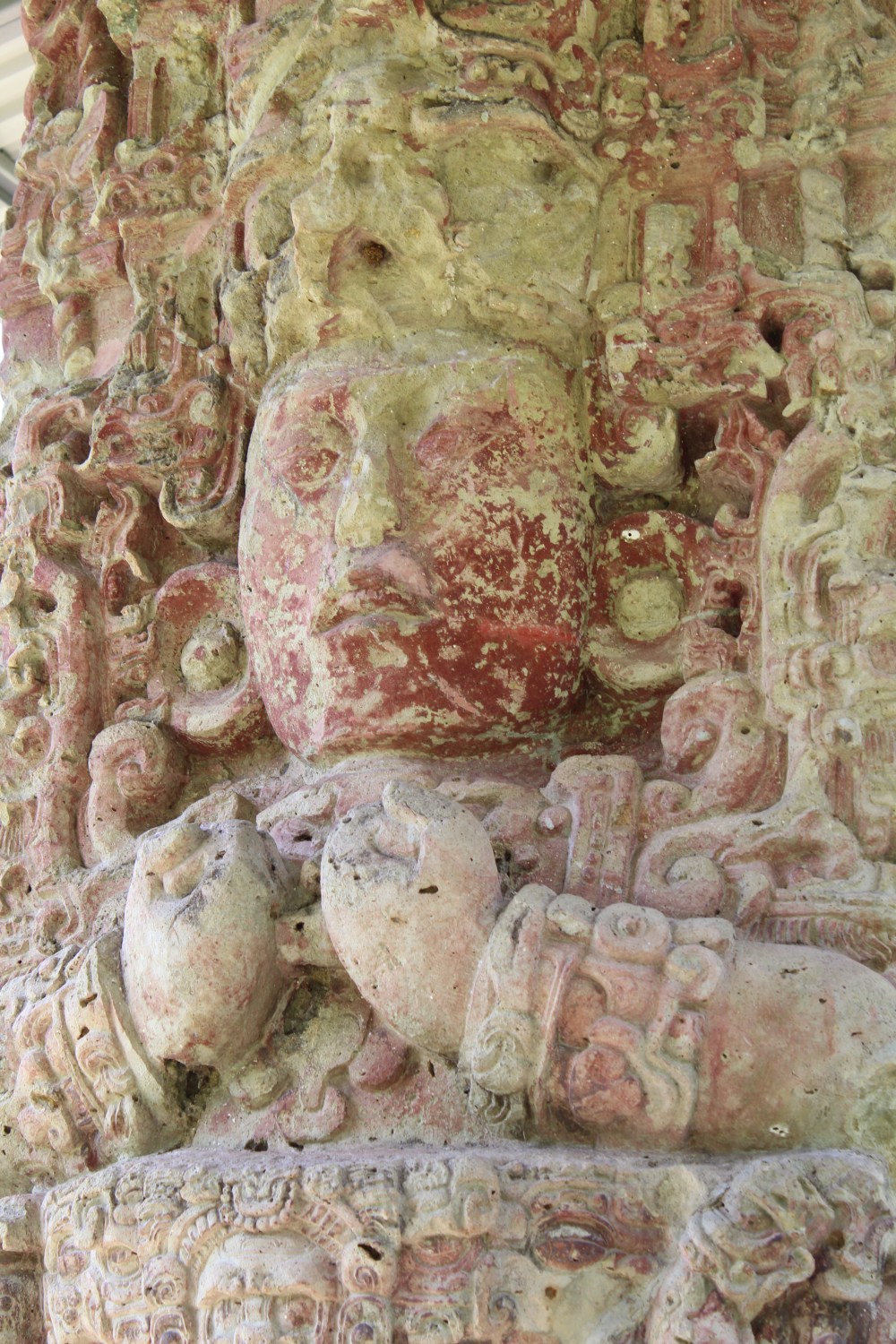 20181122095604_IMG_2224