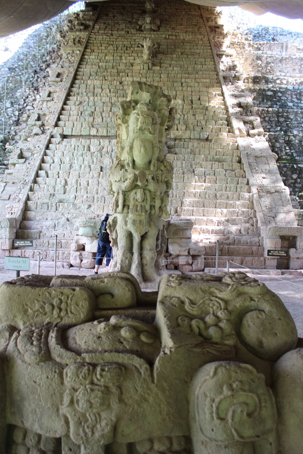 20181122102611_IMG_2233