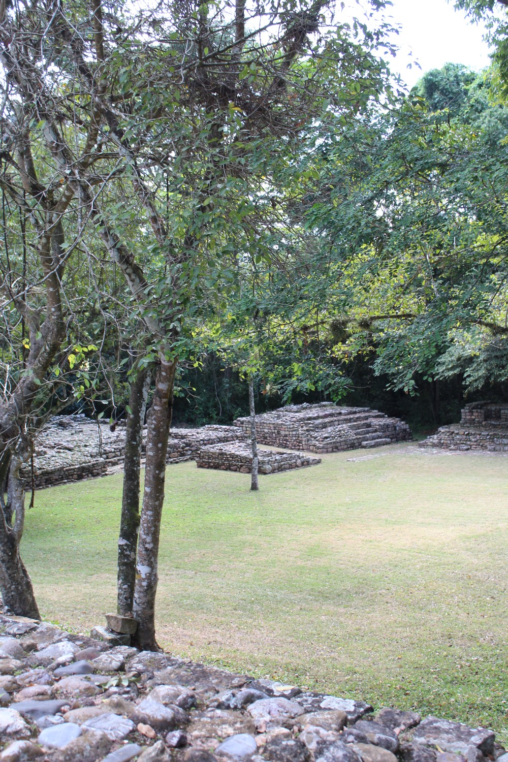 20181122133202_IMG_2261