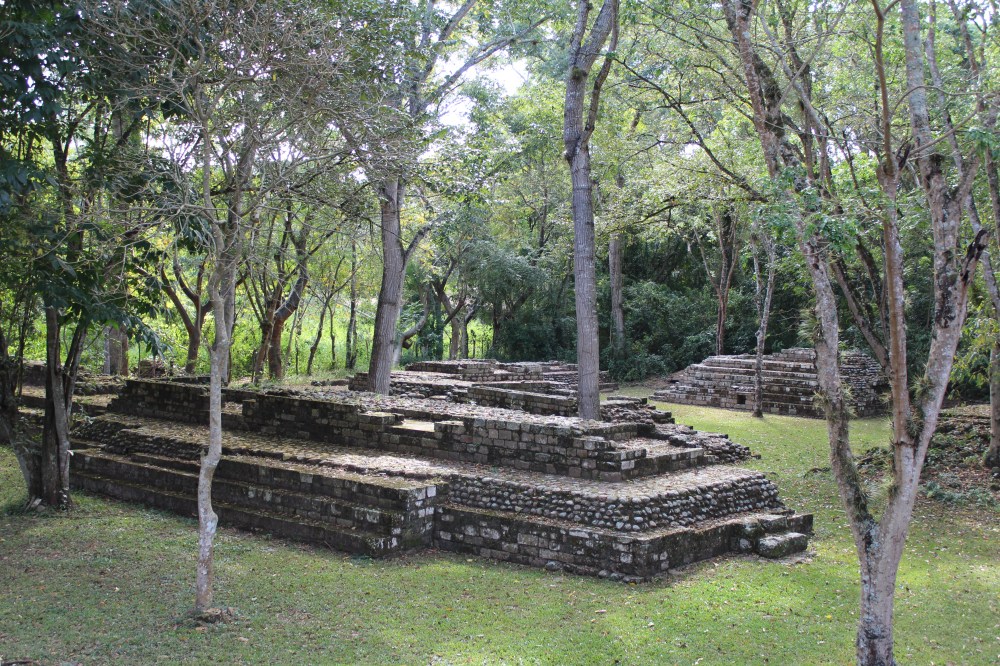 20181122134045_IMG_2266