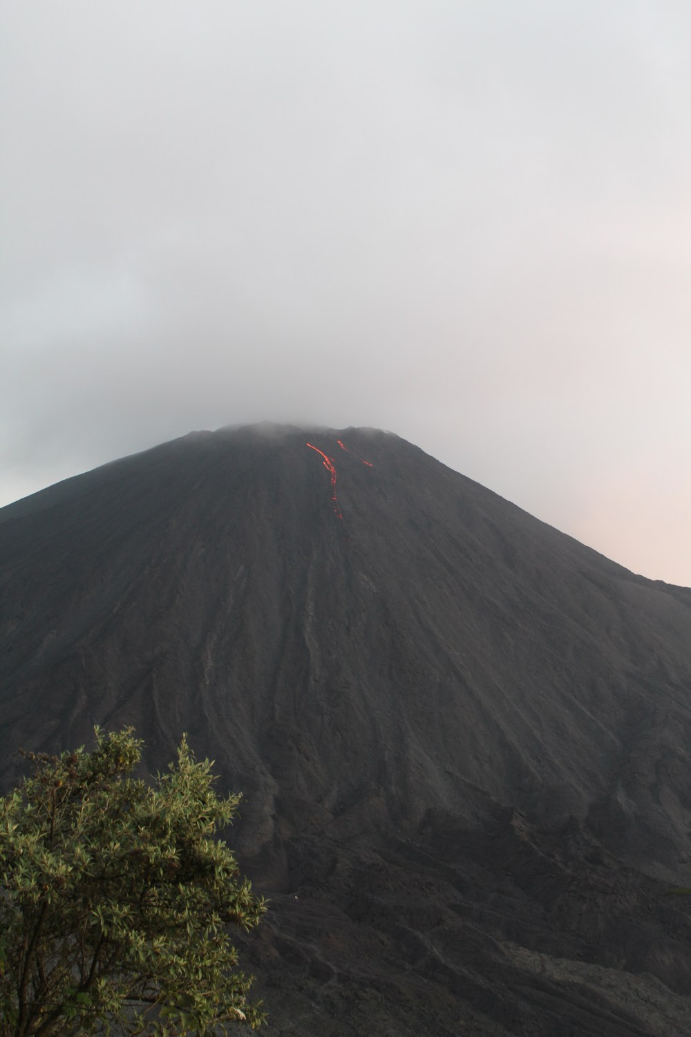 20181127162737_IMG_2329