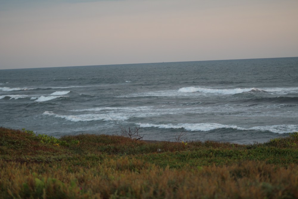 20181216162603_IMG_2355