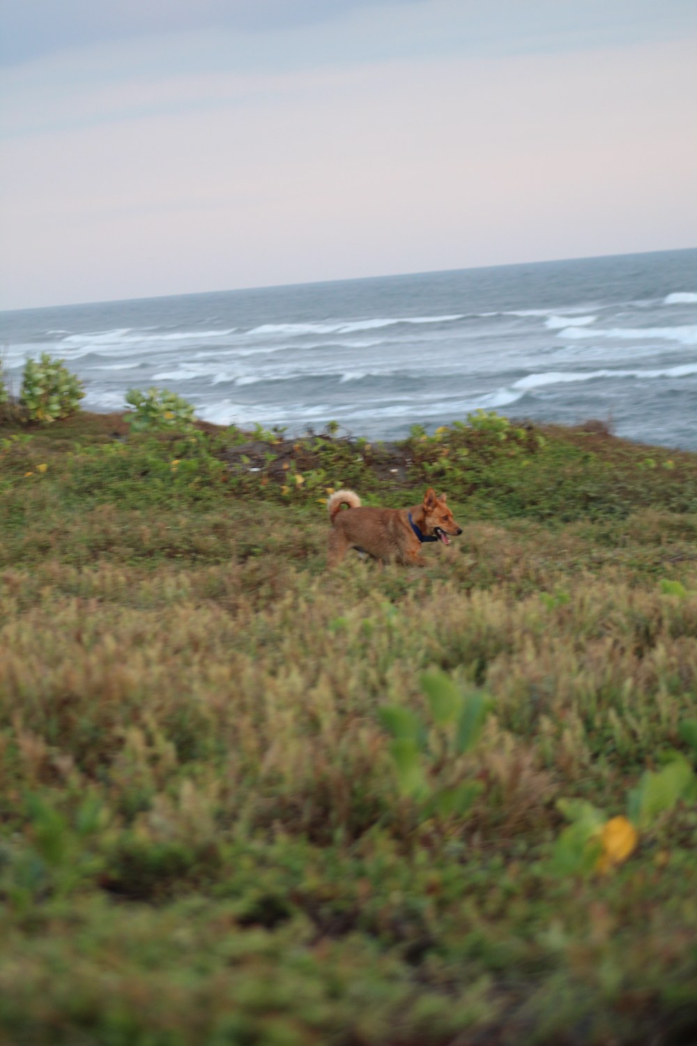 20181216162733_IMG_2360