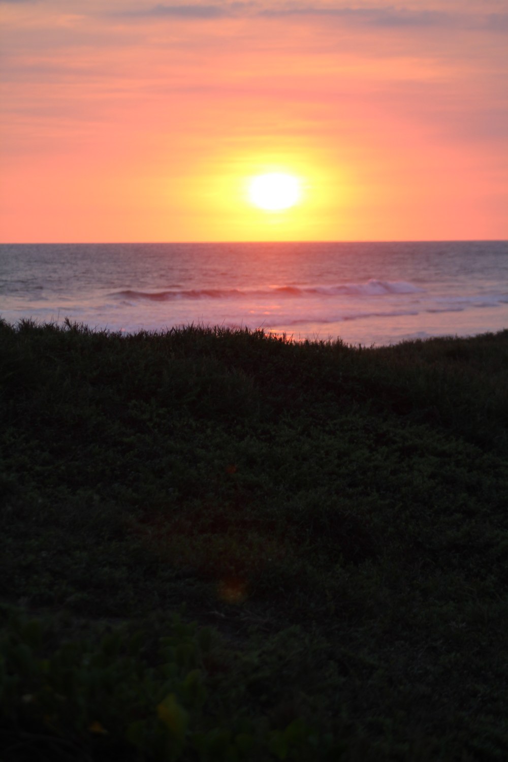 20181216163339_IMG_2365