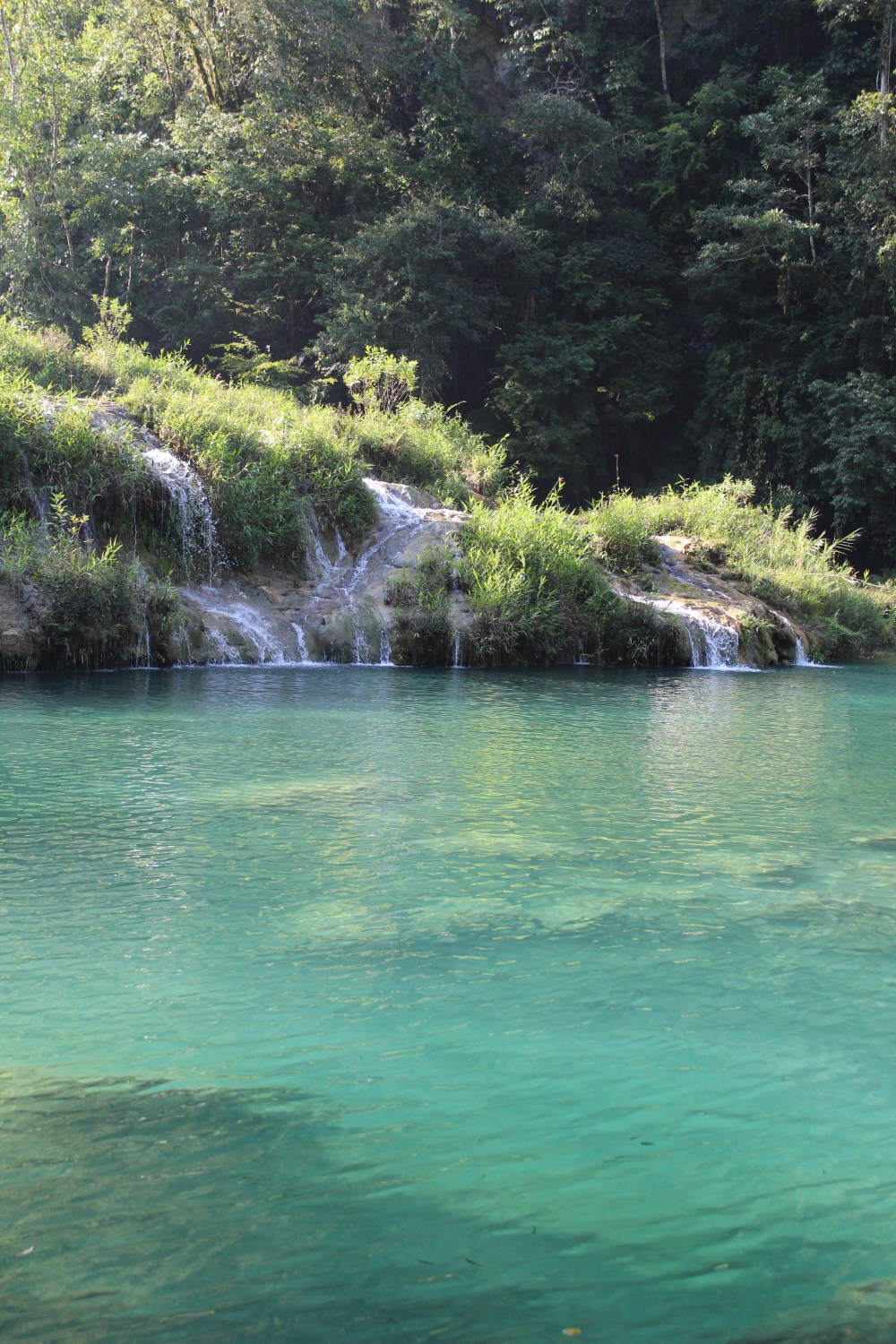 20181220142602_IMG_2426