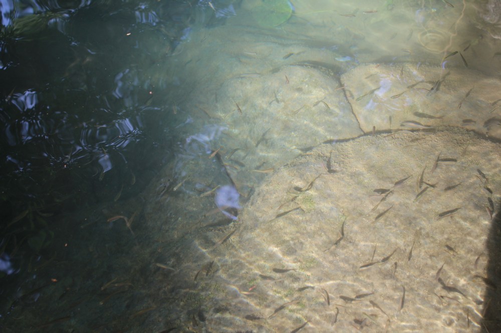 20181220143015_IMG_2440