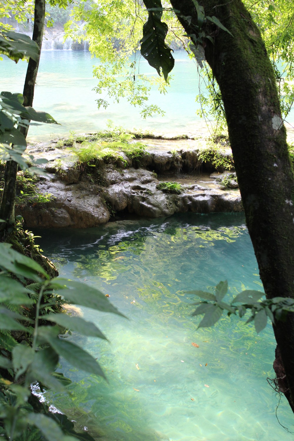 20181220143748_IMG_2443