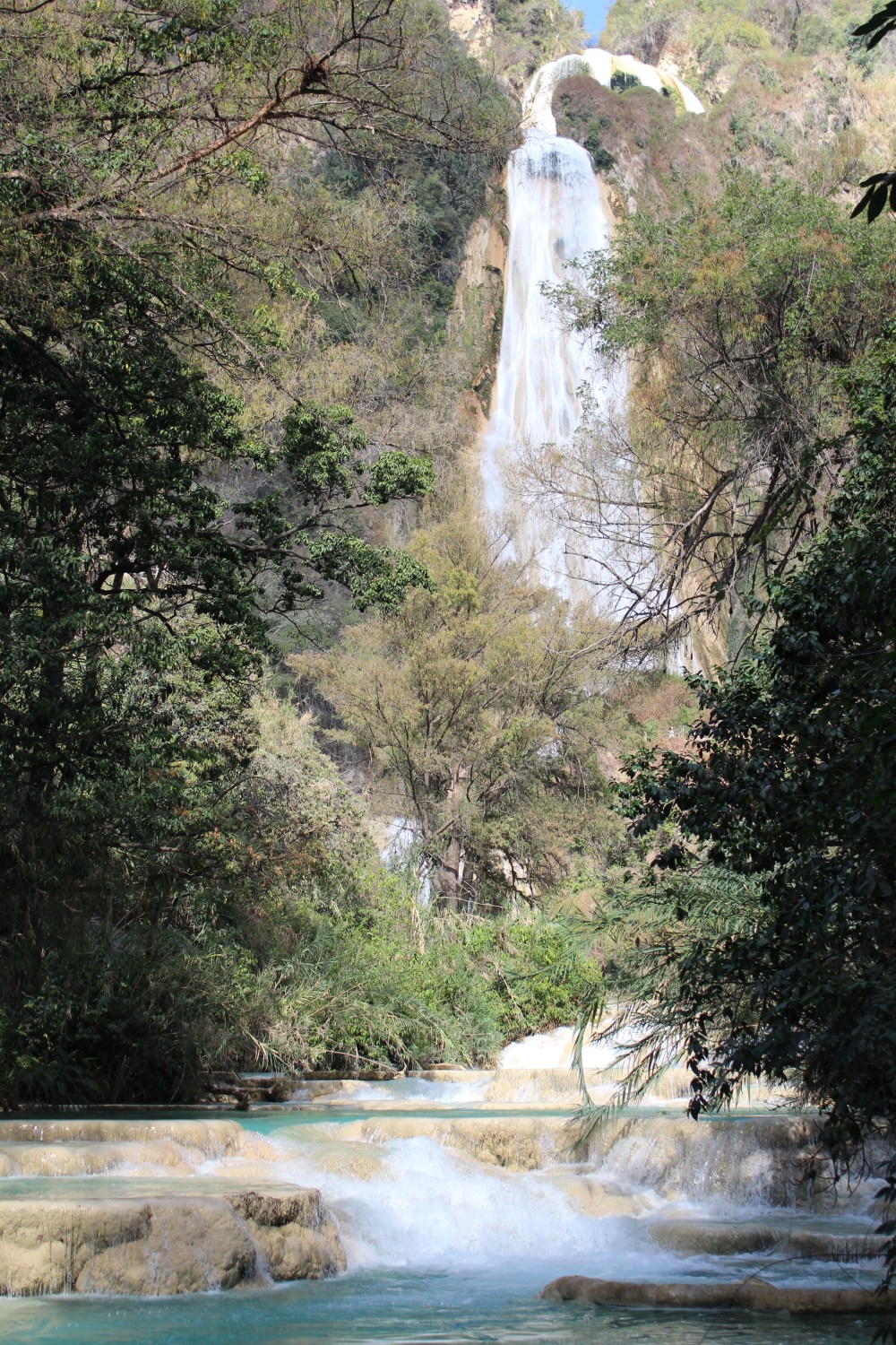 20190224140245_IMG_2509