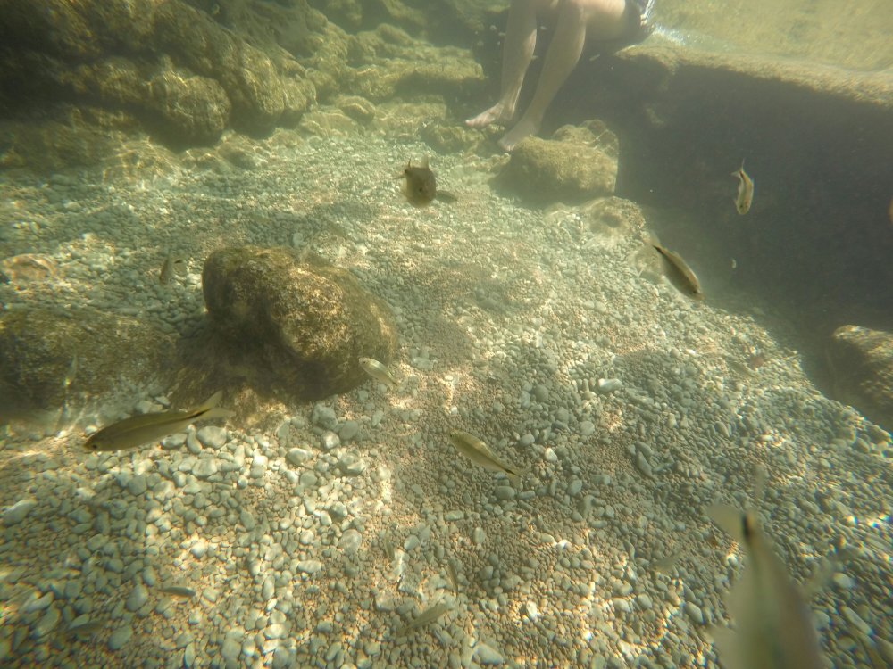 gopr3019_1556927257973_high-25825212.jpg