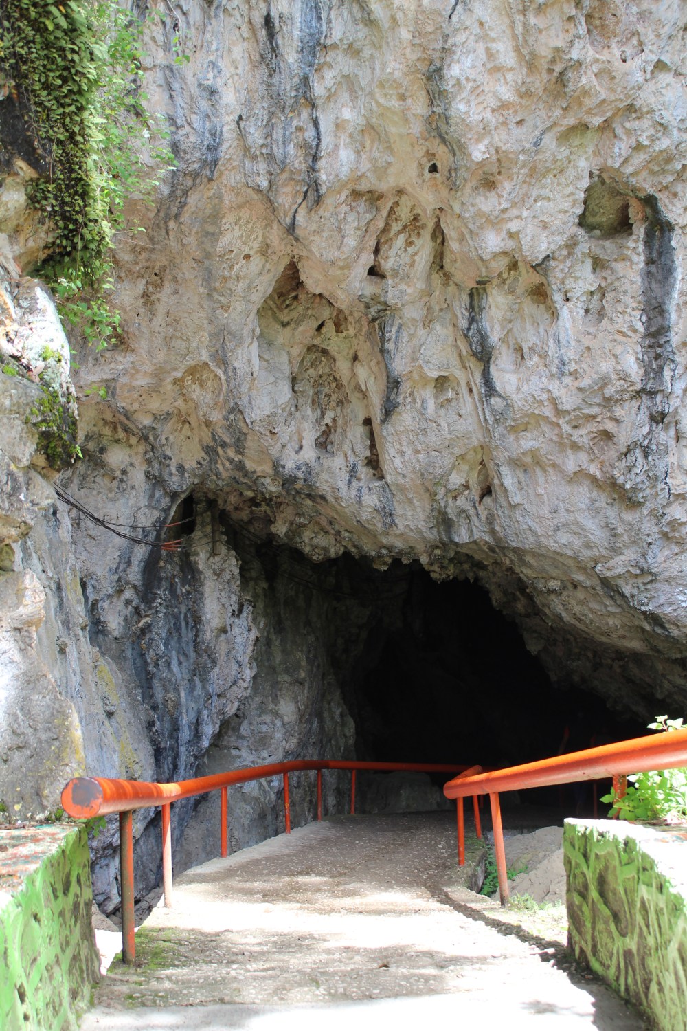 20190616100425_IMG_3214