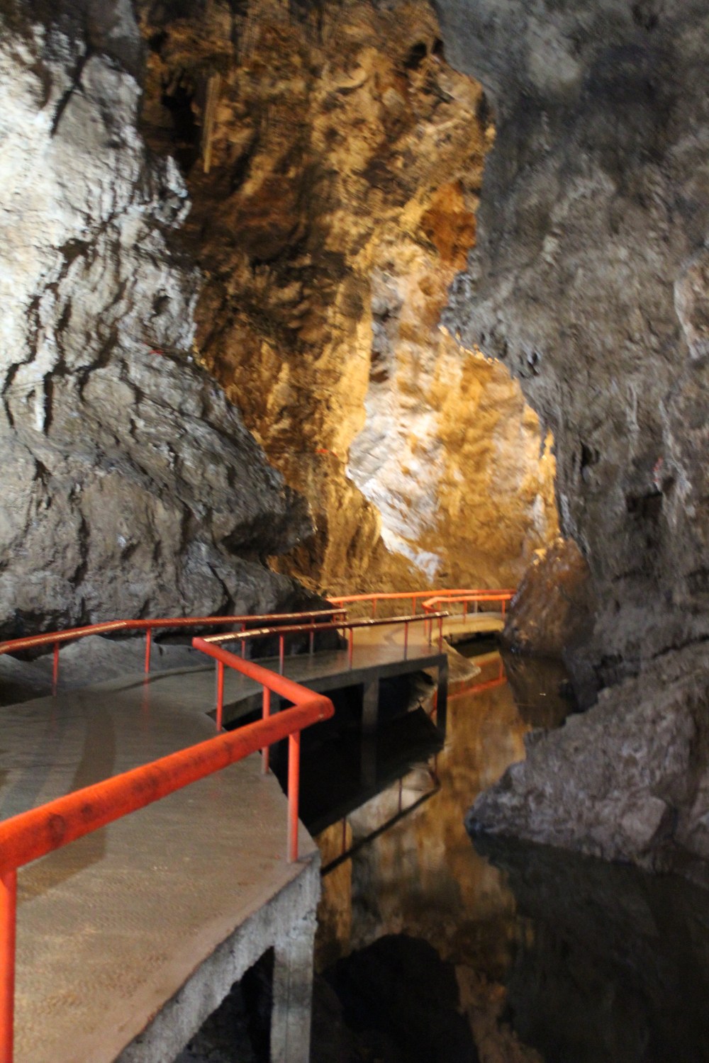 20190616101524_IMG_3222