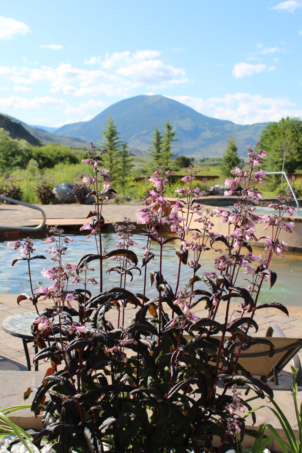 20190709163117_IMG_3428