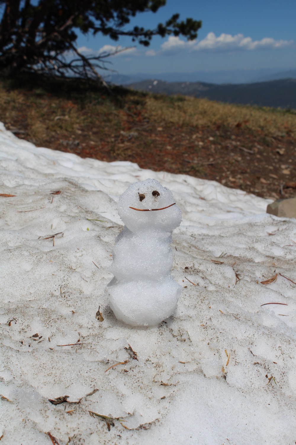 20190711102330_IMG_3495_1