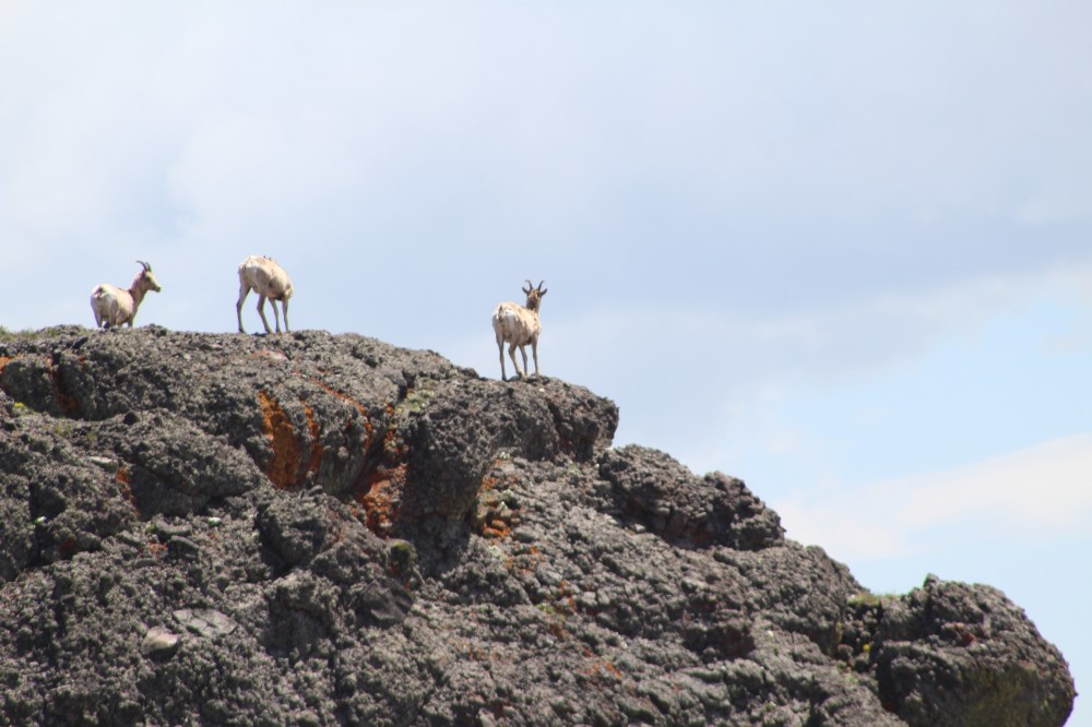 20190711113314_IMG_3507_1