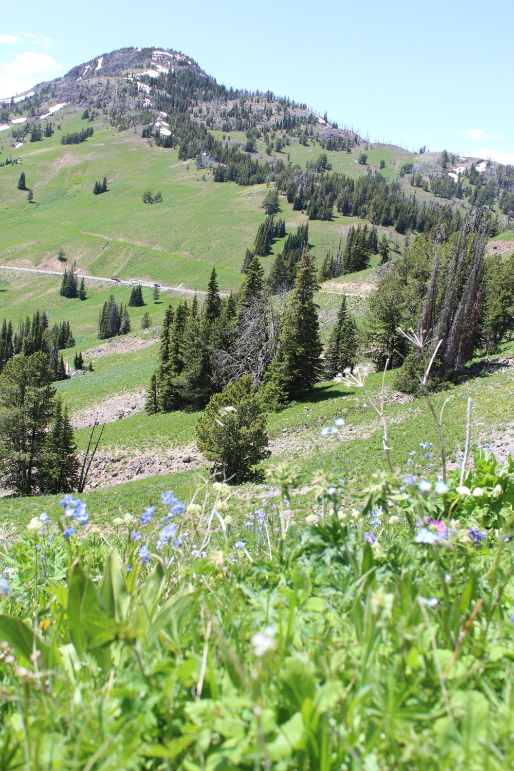 20190711125458_IMG_3514_1