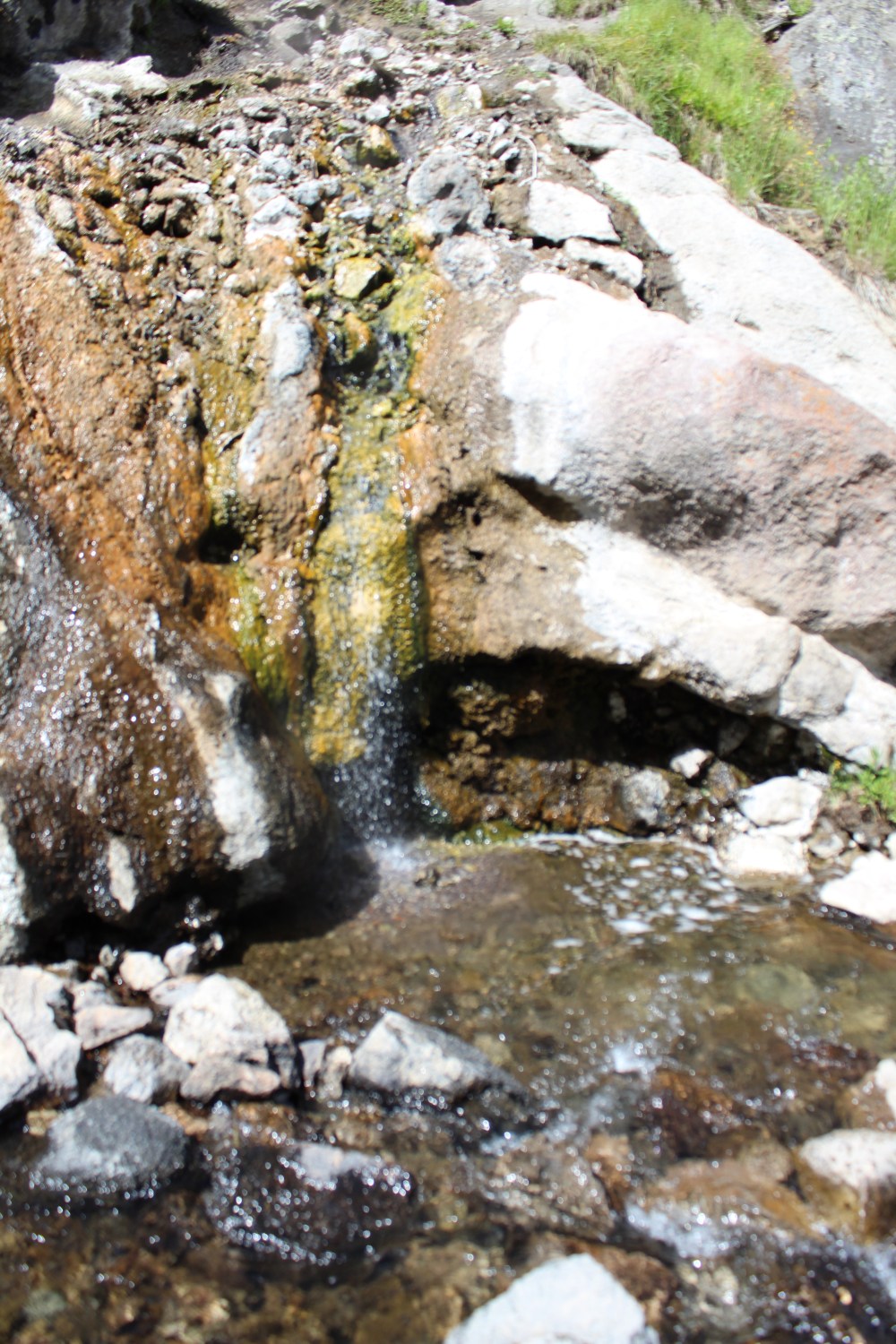 20190717143459_IMG_3560