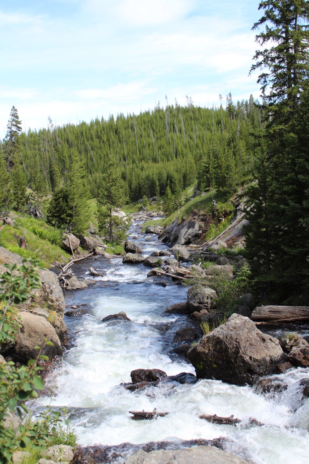 20190717143831_IMG_3563