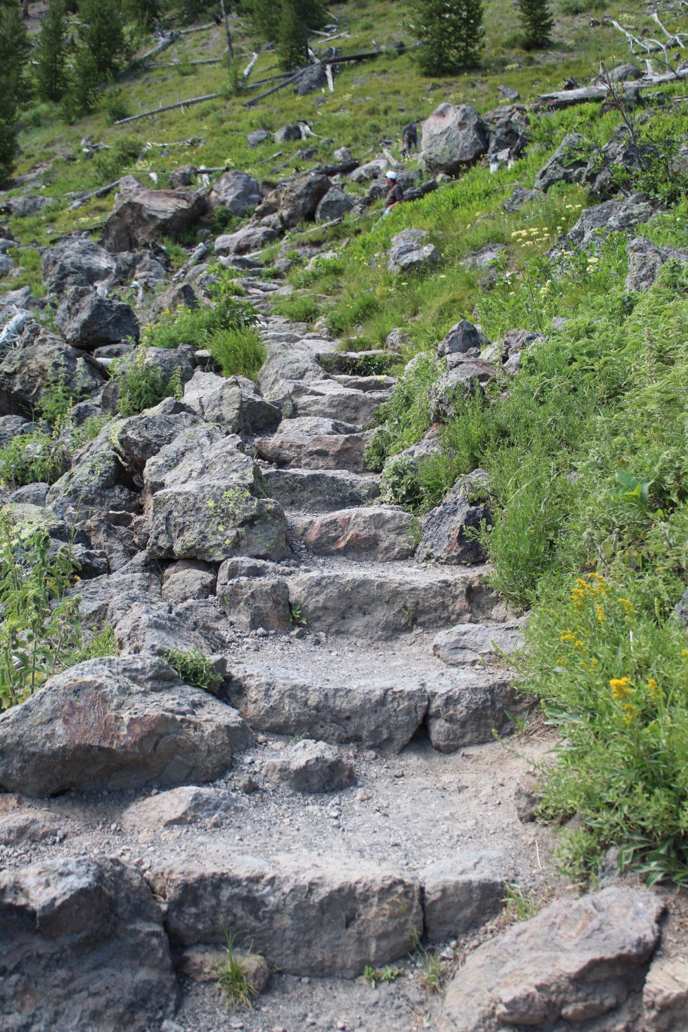 20190717144221_IMG_3564