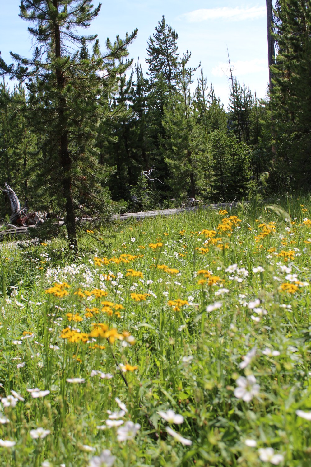 20190717145718_IMG_3566