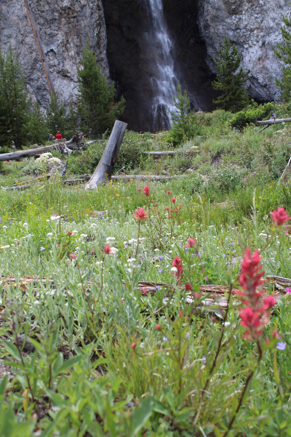 20190718123824_IMG_3602