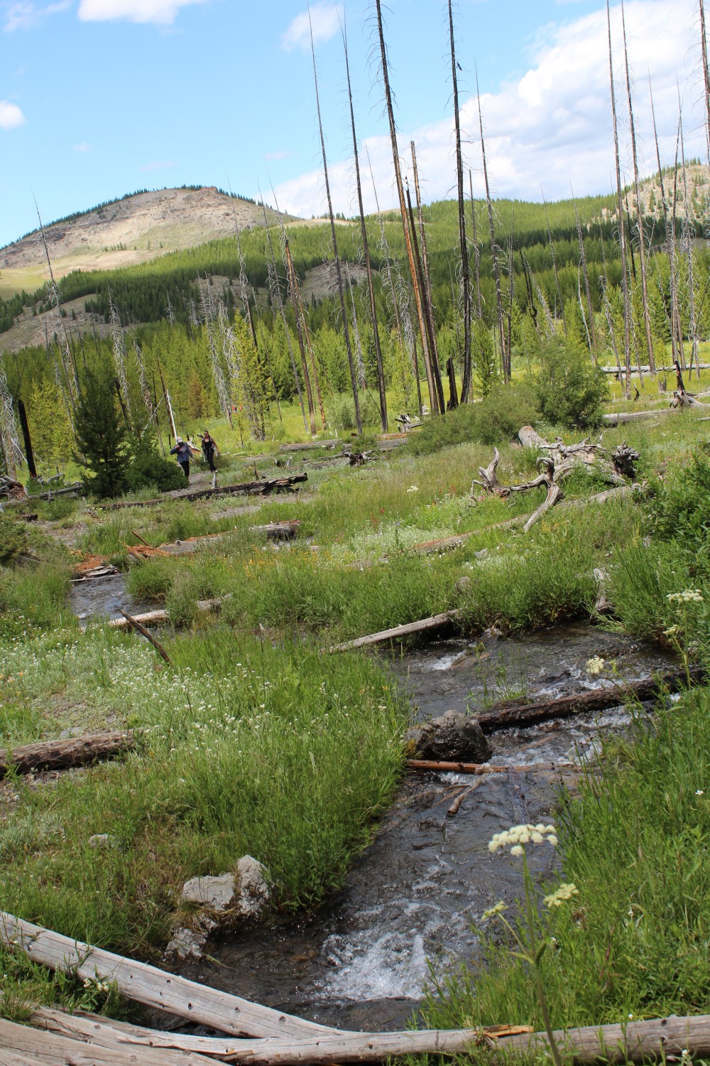 20190718124415_IMG_3611