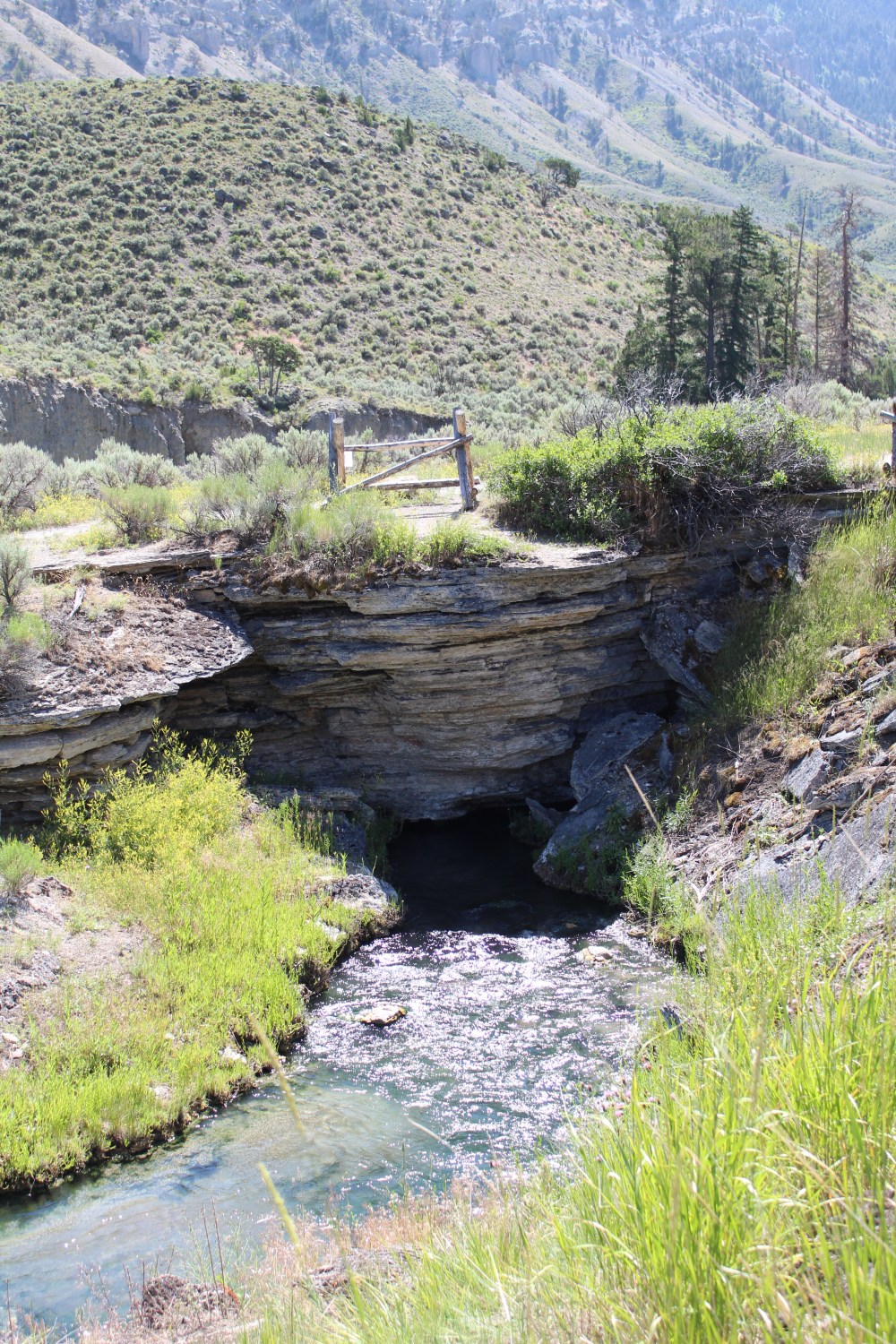 20190720103930_IMG_3751