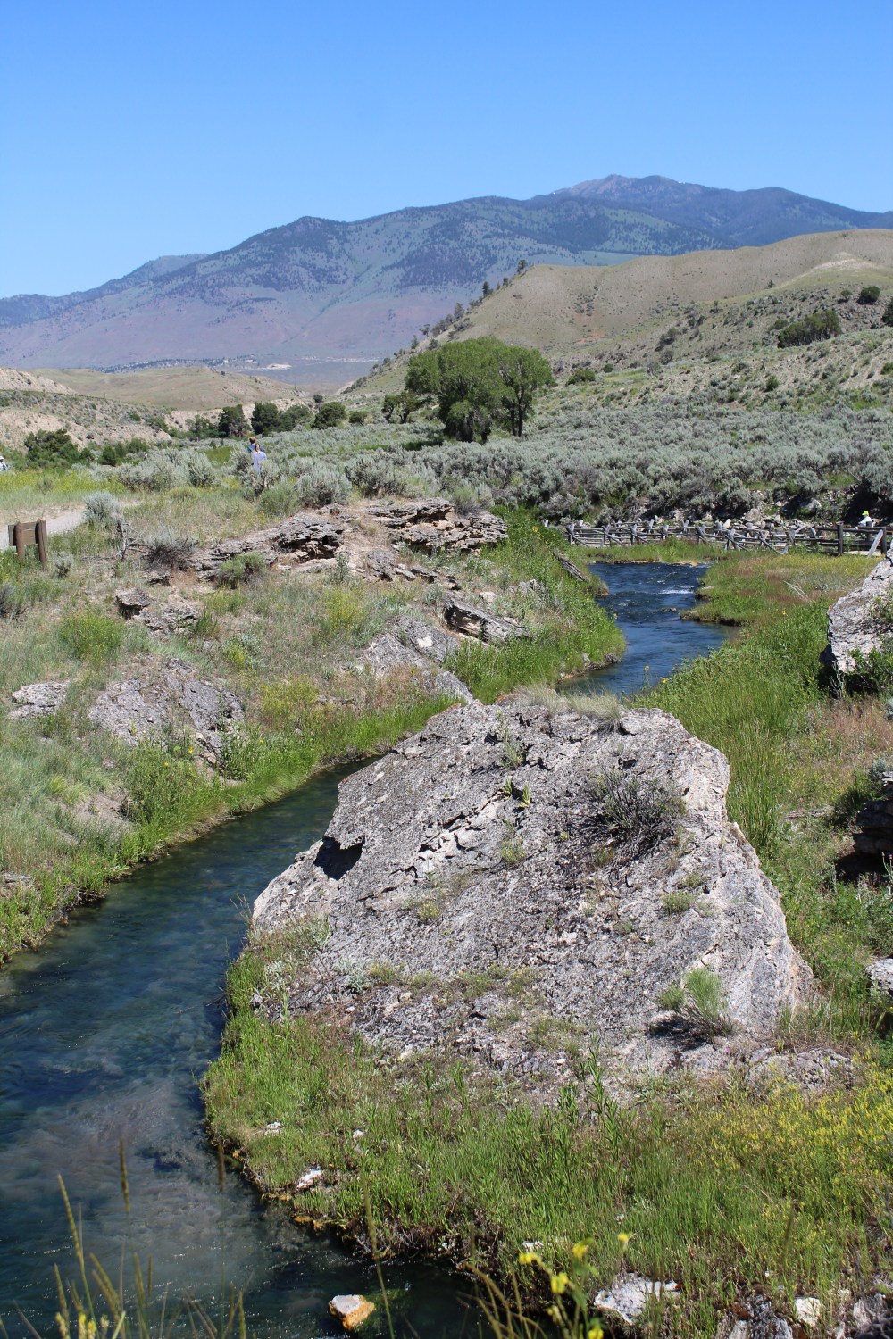 20190720104002_IMG_3752