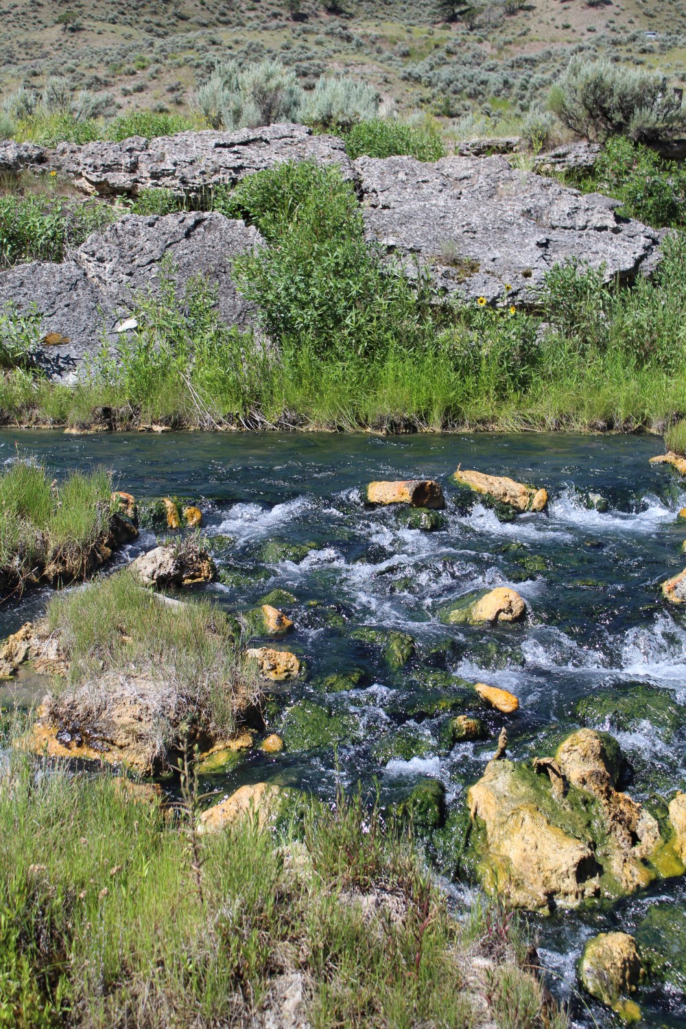 20190720104128_IMG_3754