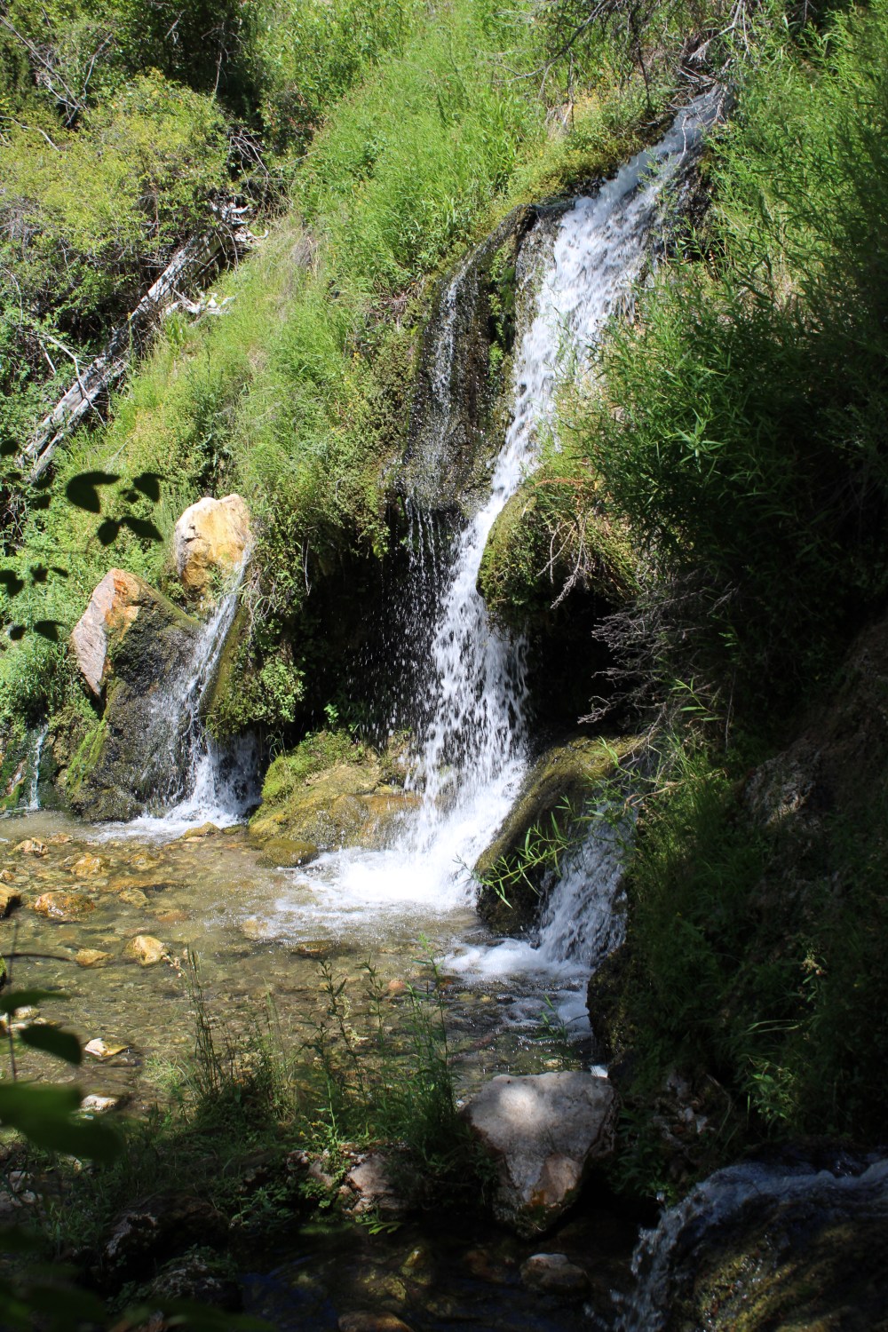 20190724114604_IMG_3858