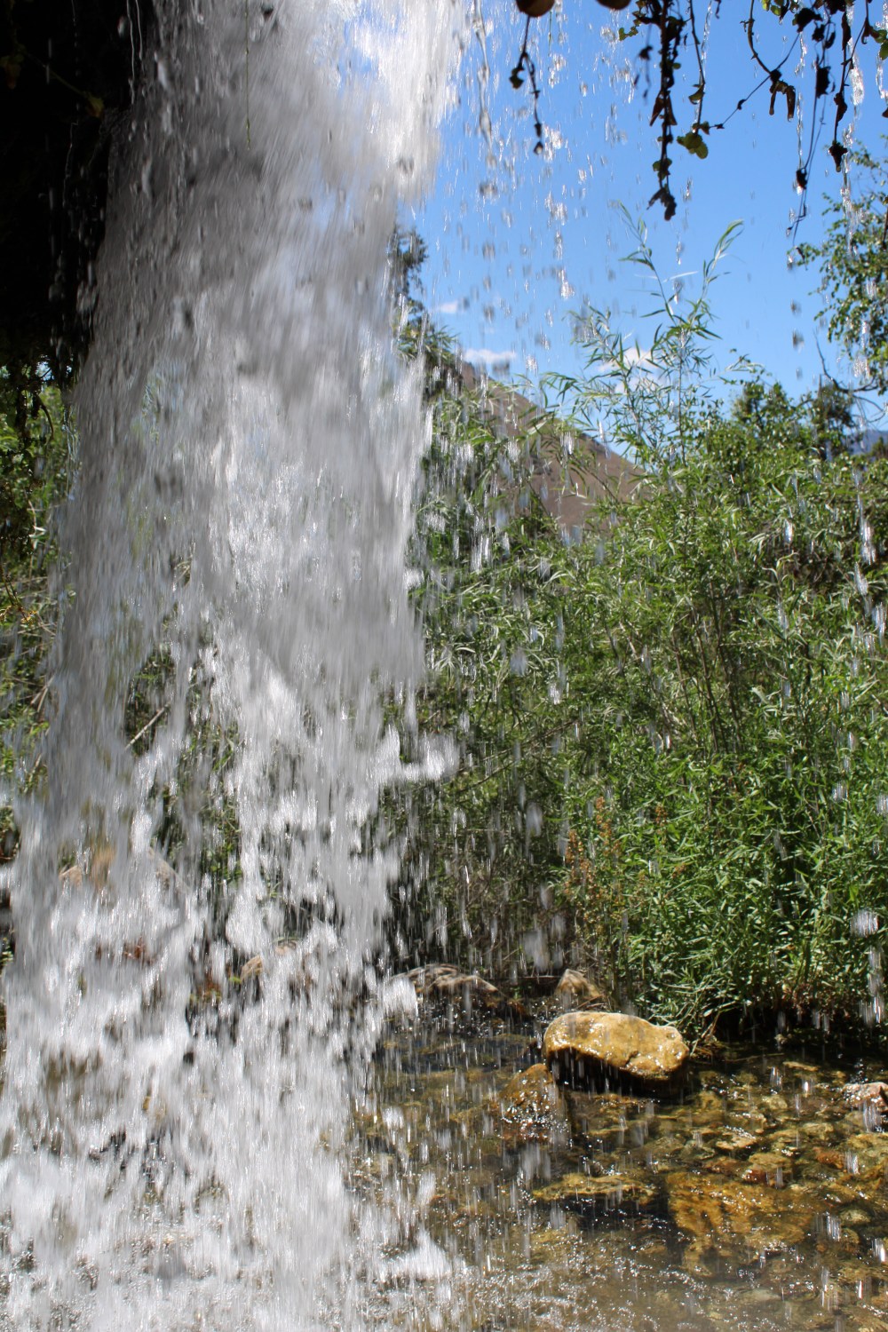 20190724115836_IMG_3862