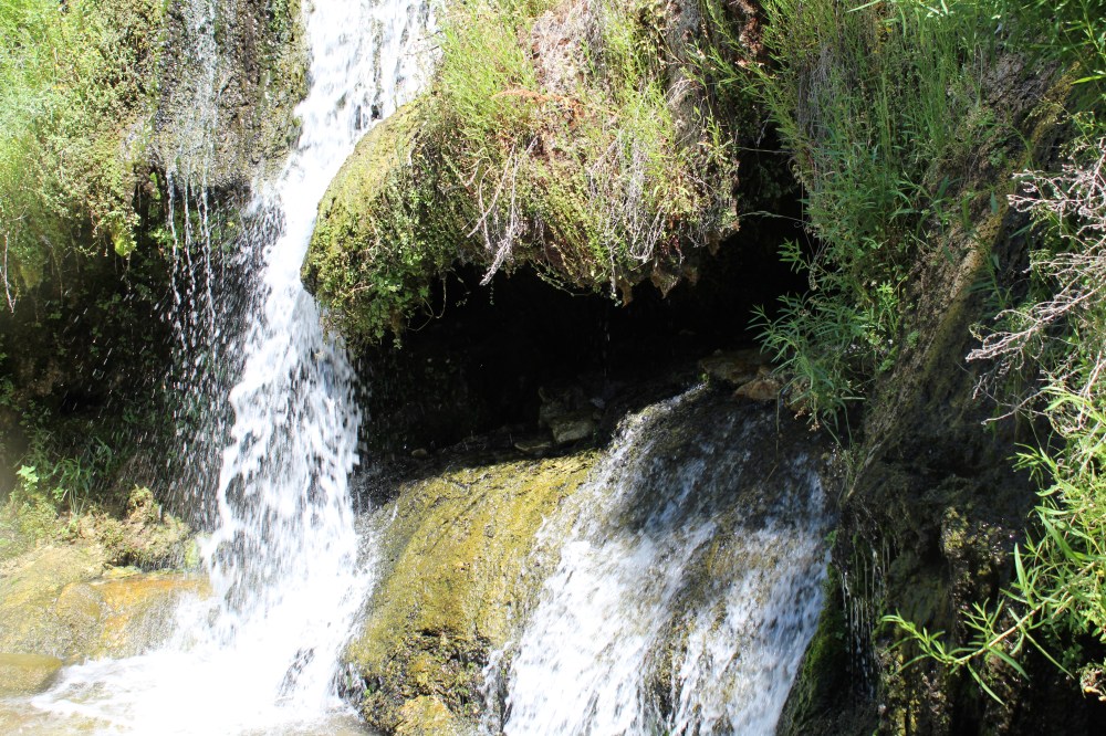 20190724120022_IMG_3865