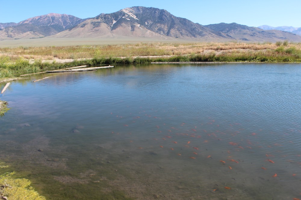 20190725092821_IMG_3866