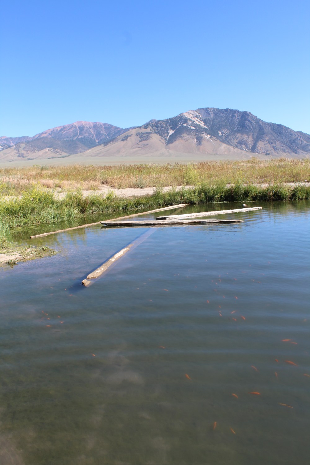 20190725093218_IMG_3878