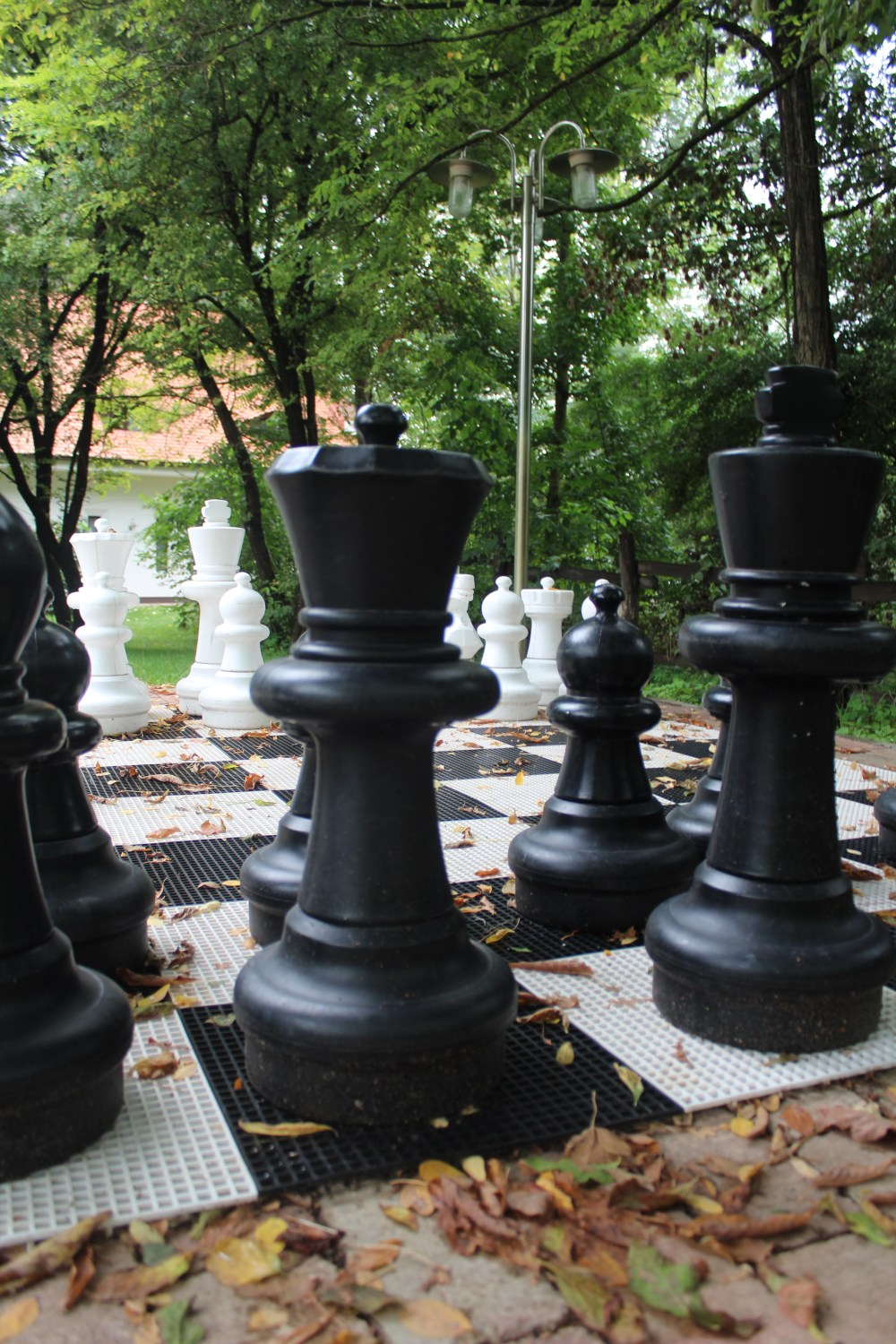 20190814061750_IMG_3918