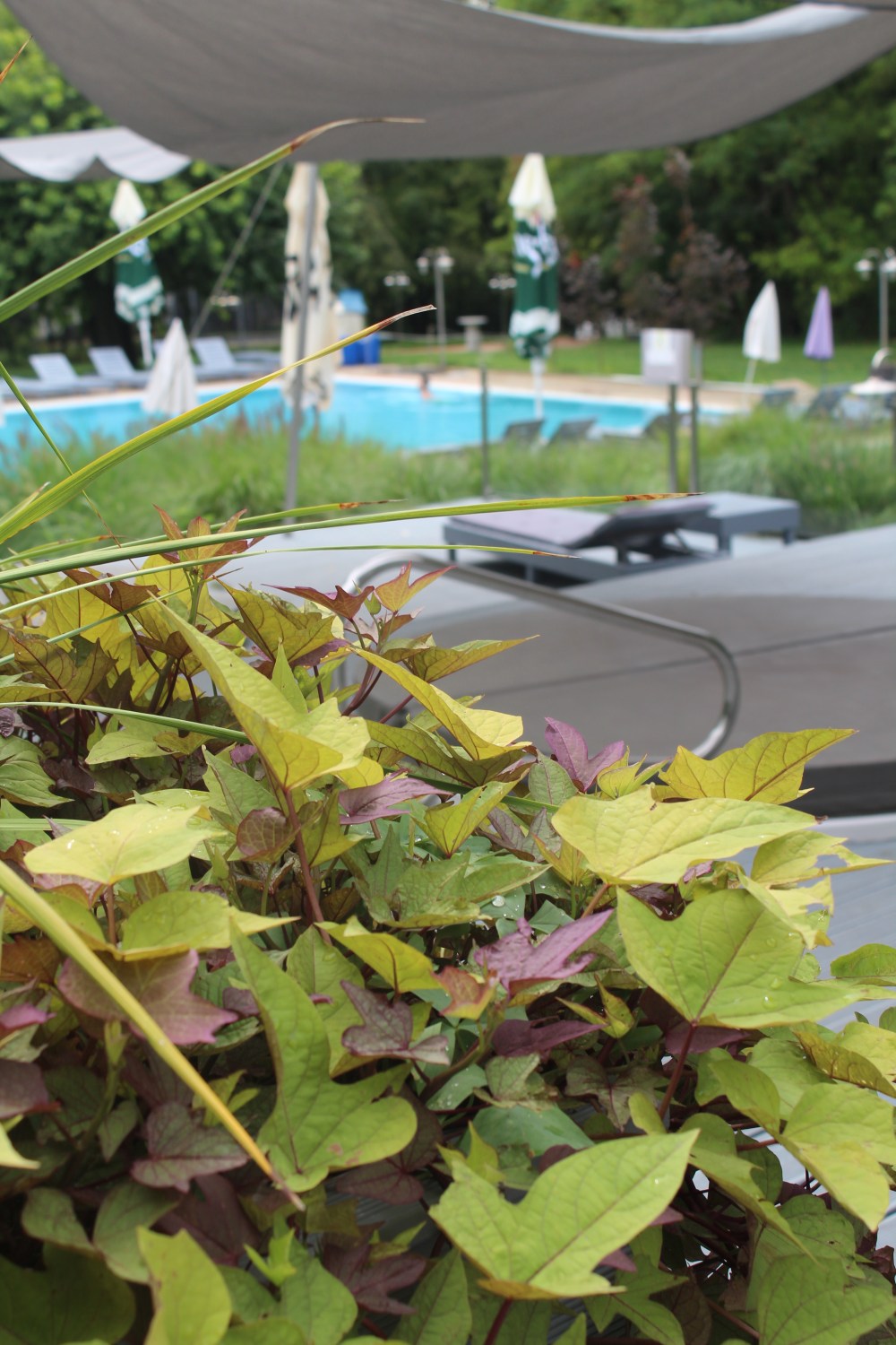 20190814062711_IMG_3926