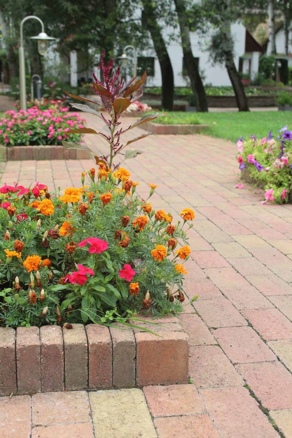 20190814062936_IMG_3930