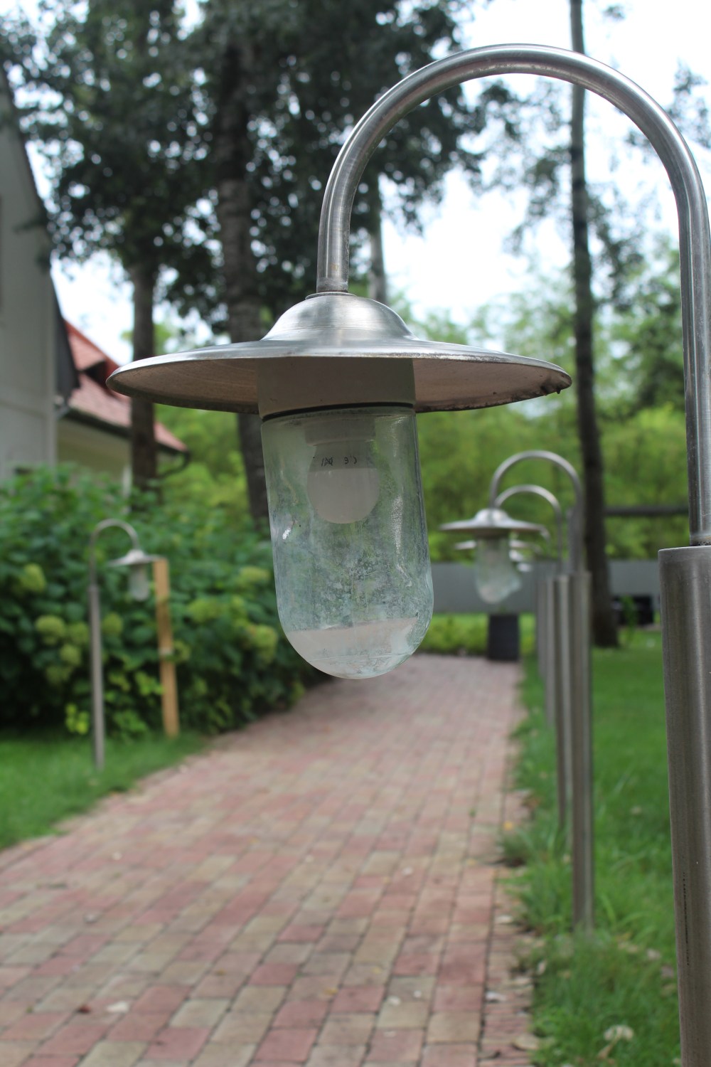 20190814063138_IMG_3934