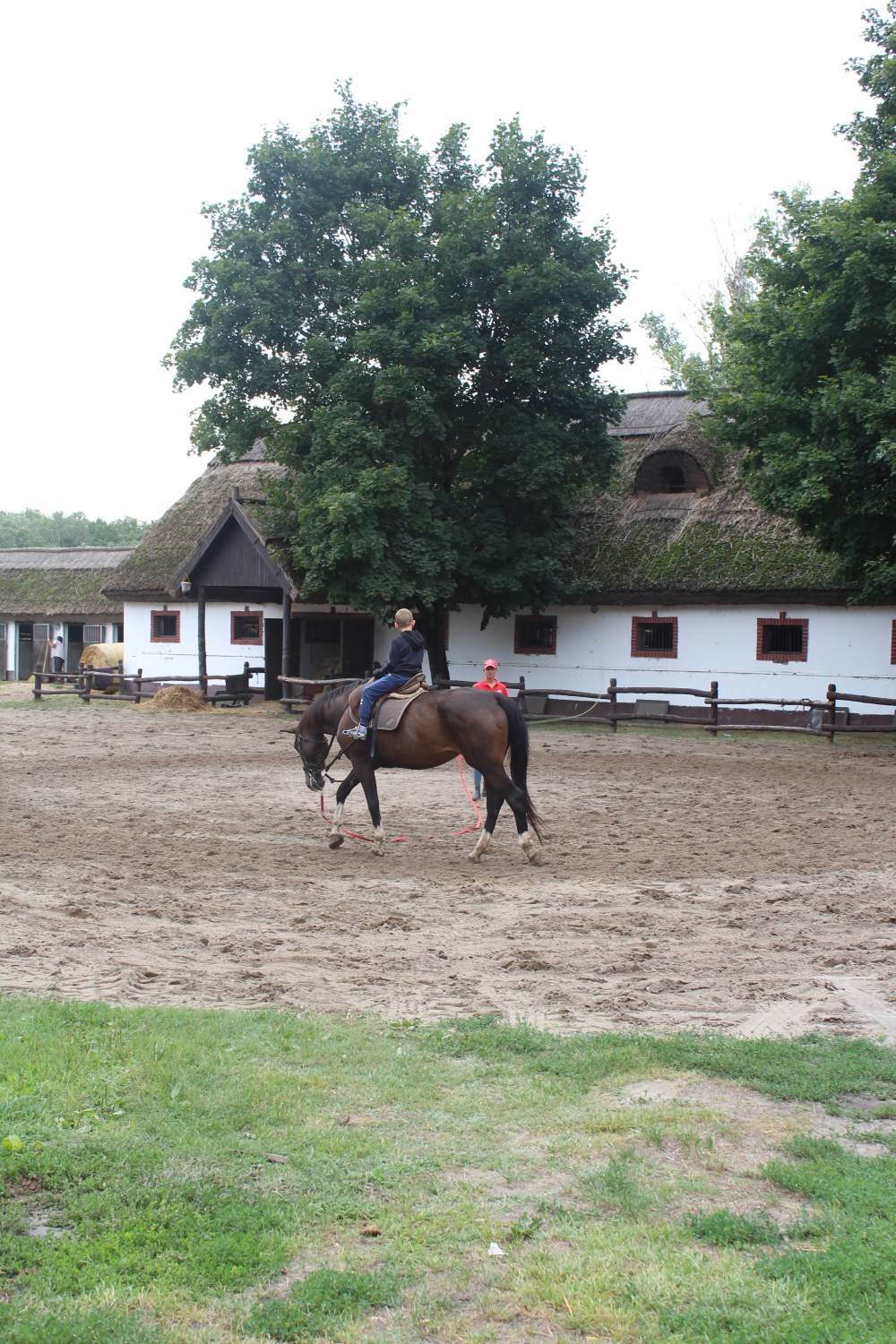 20190814064244_IMG_3947