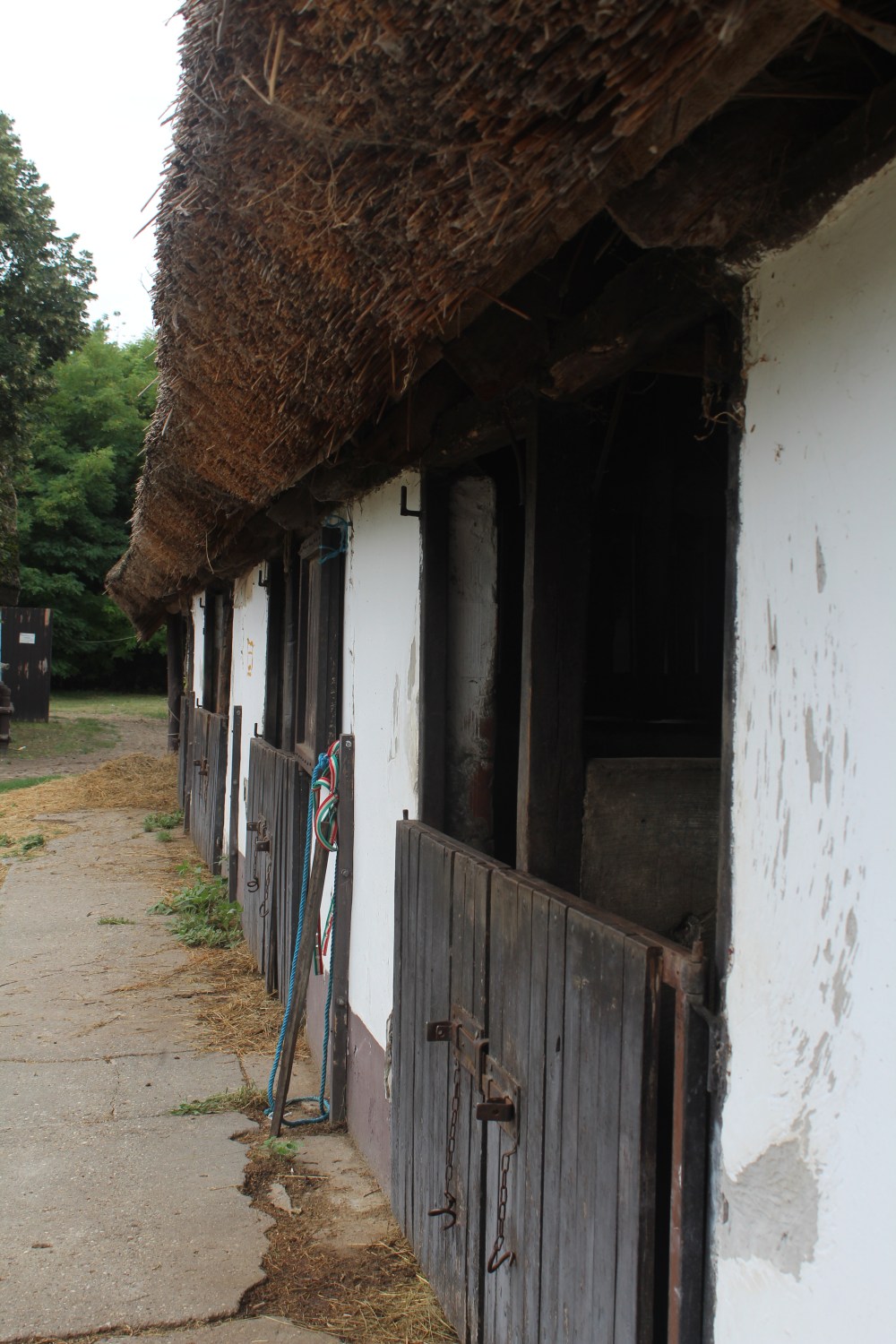 20190814064318_IMG_3949