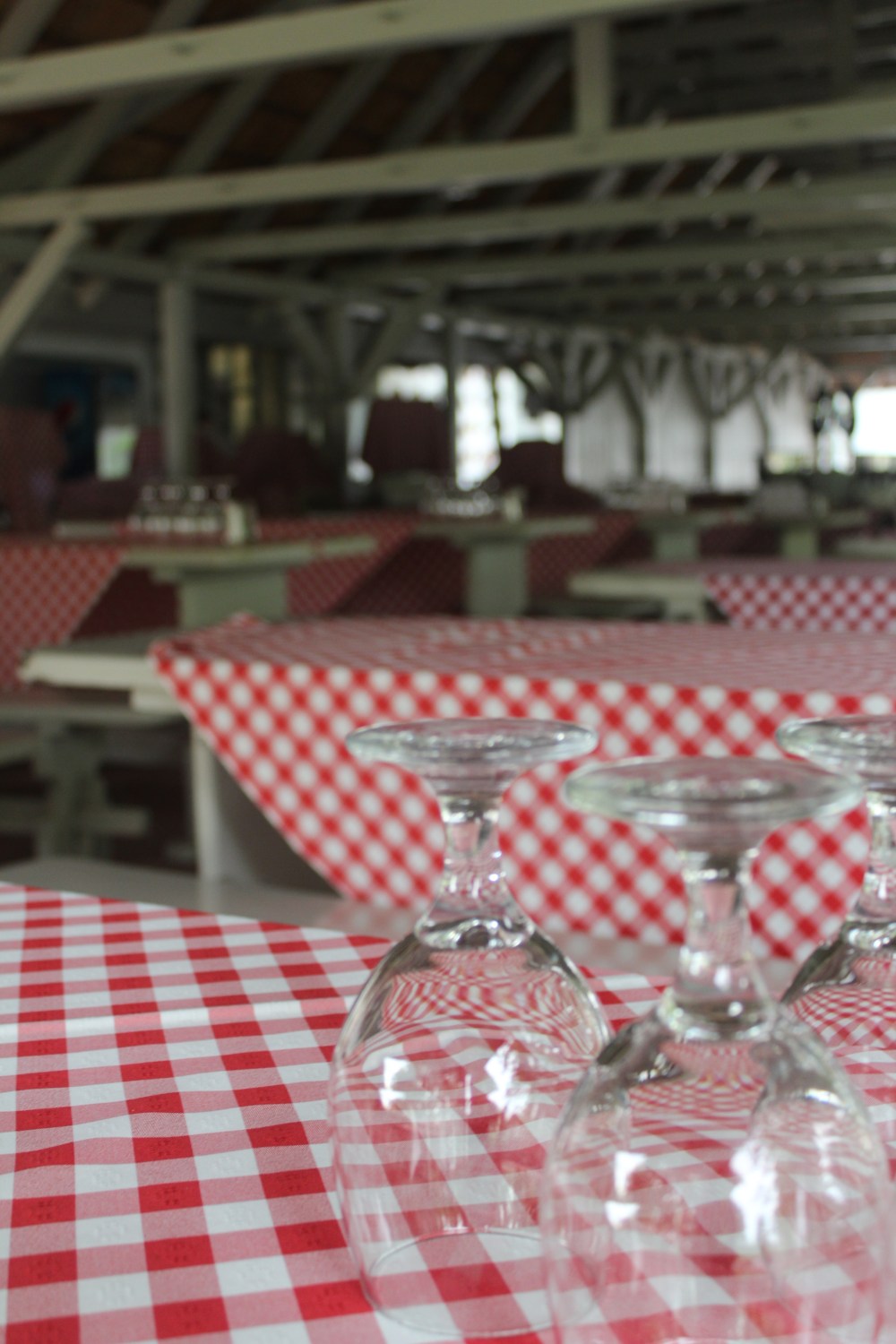 20190814065359_IMG_3957