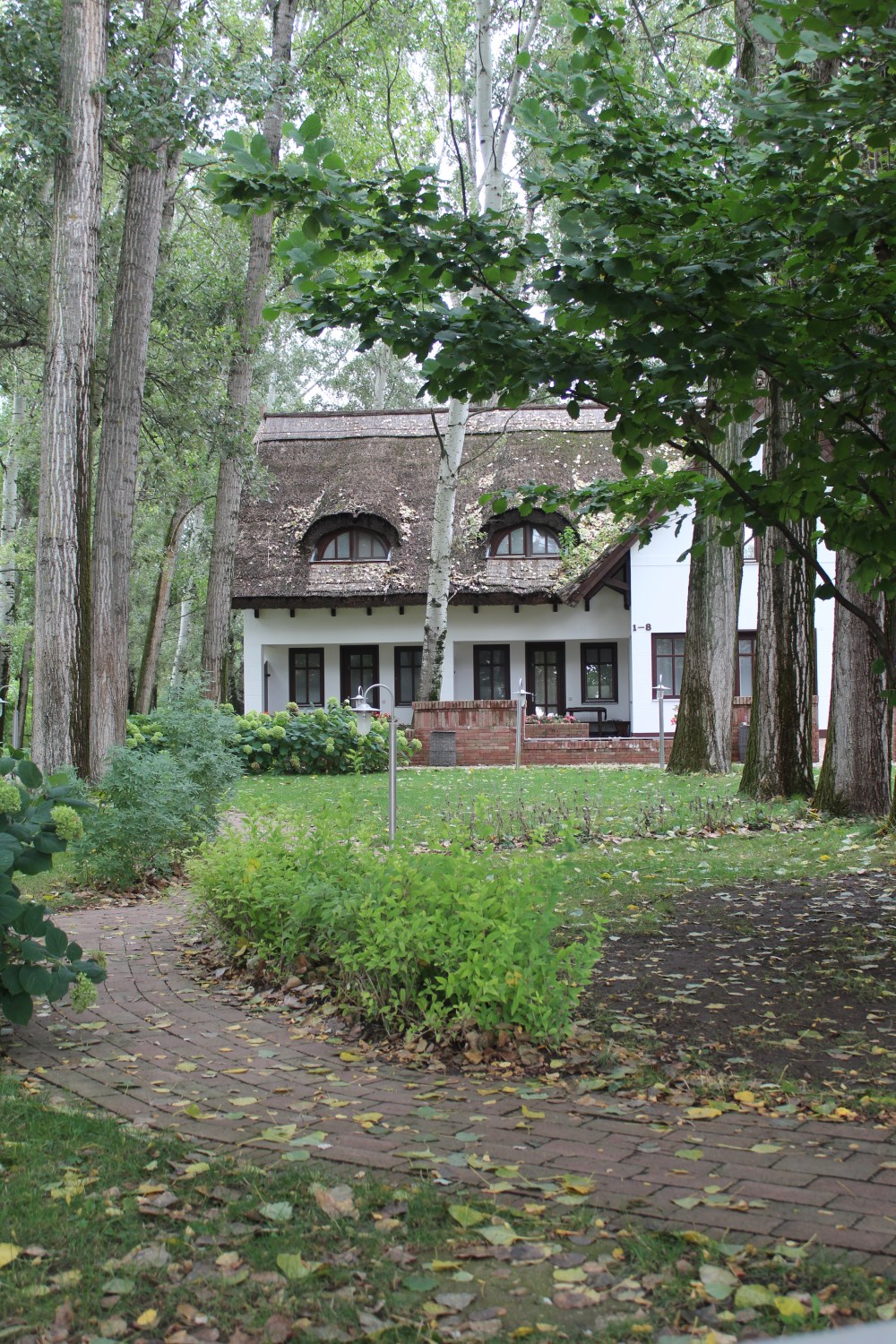 20190814070031_IMG_3970