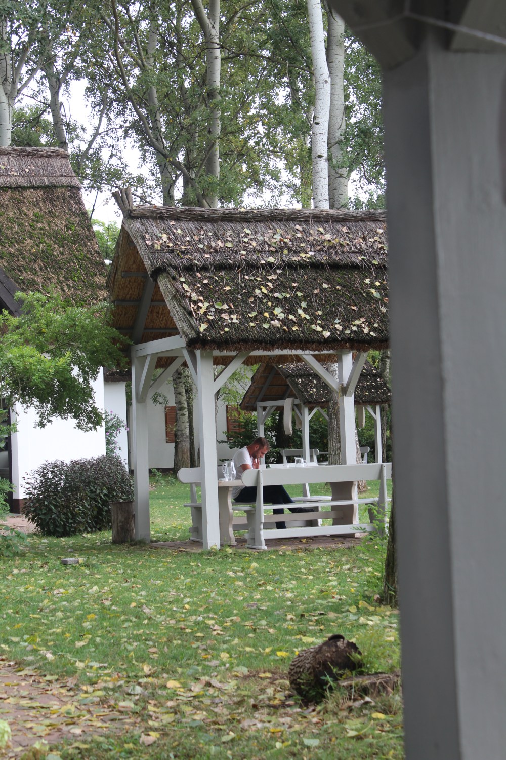 20190814070158_IMG_3972