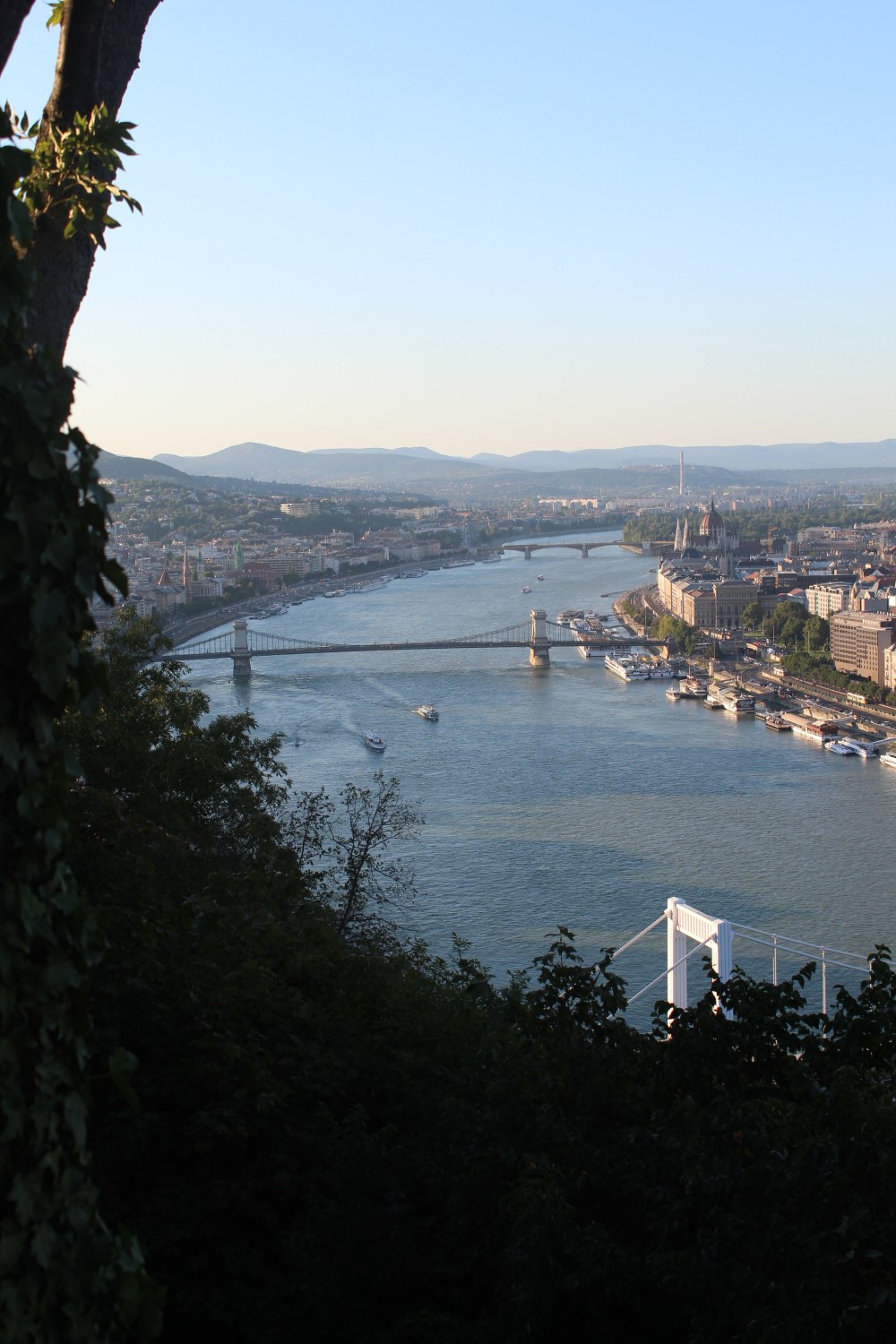 20190818095341_IMG_4036