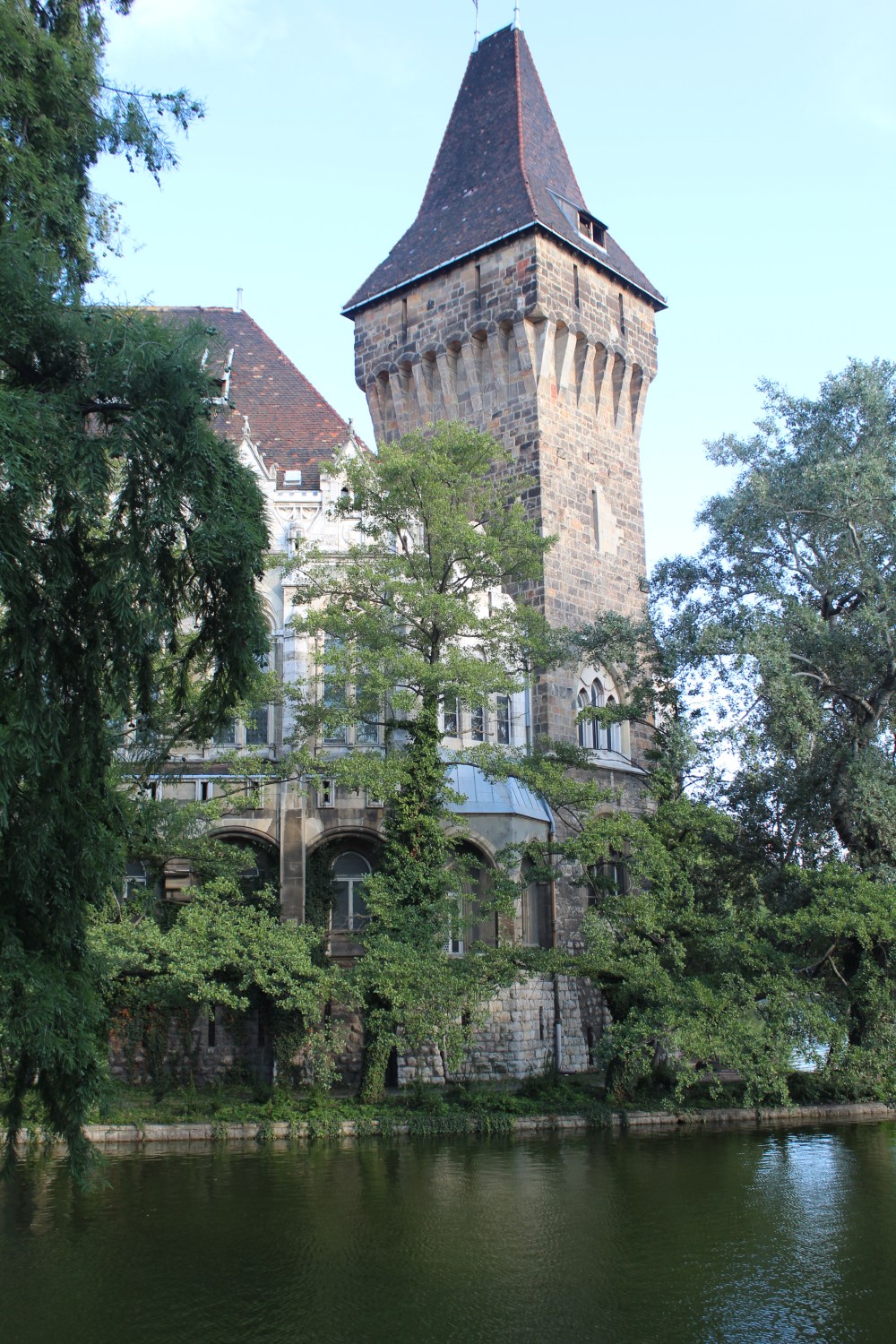 20190819084532_IMG_4088