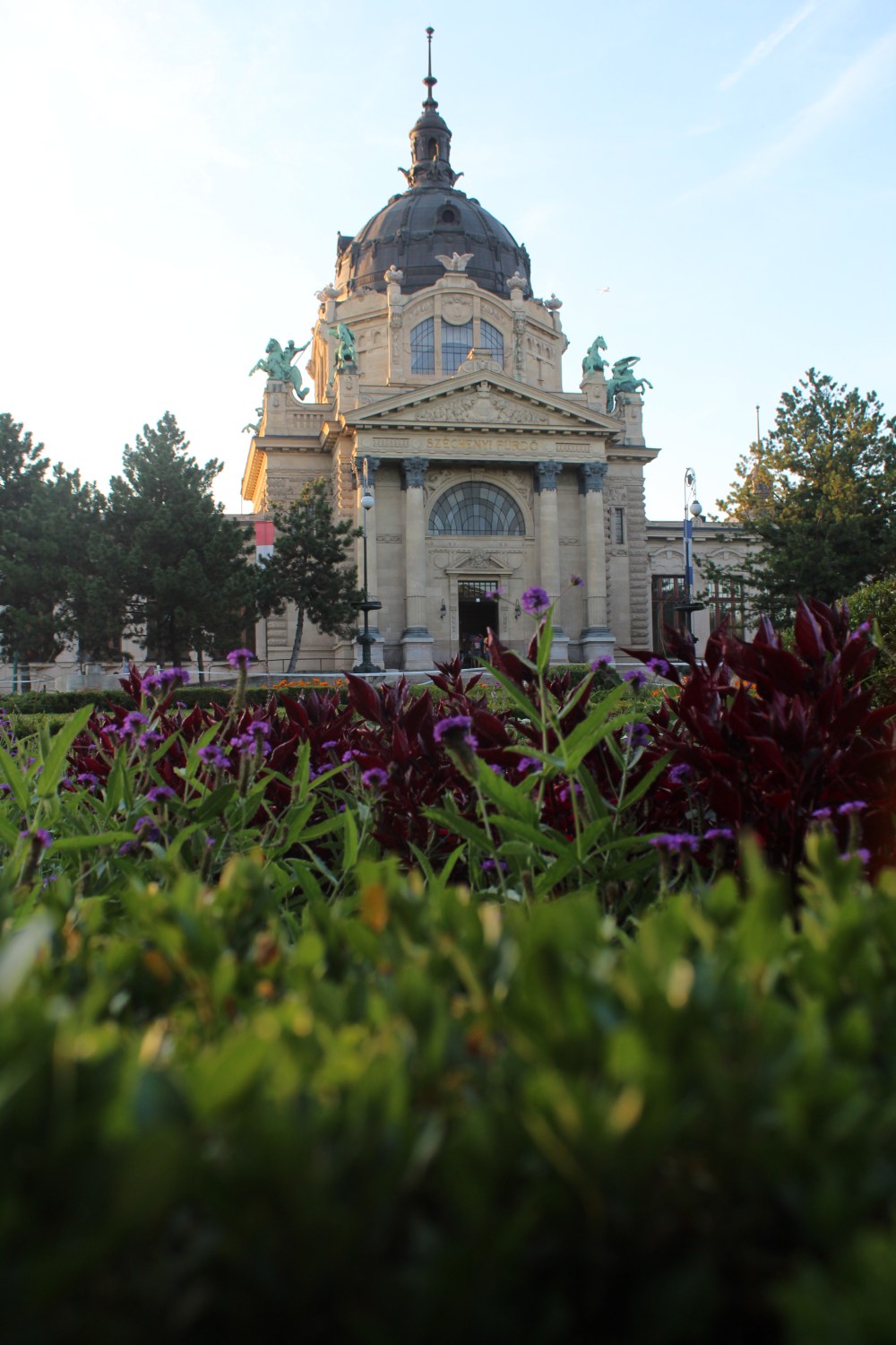 20190819100428_IMG_4120