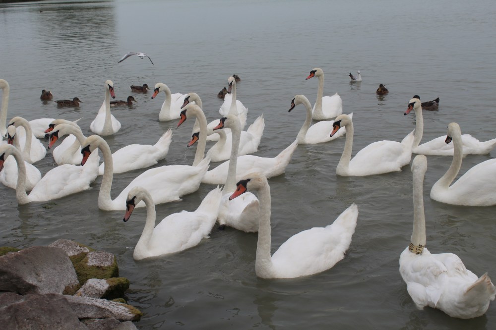 20190822082055_IMG_4168