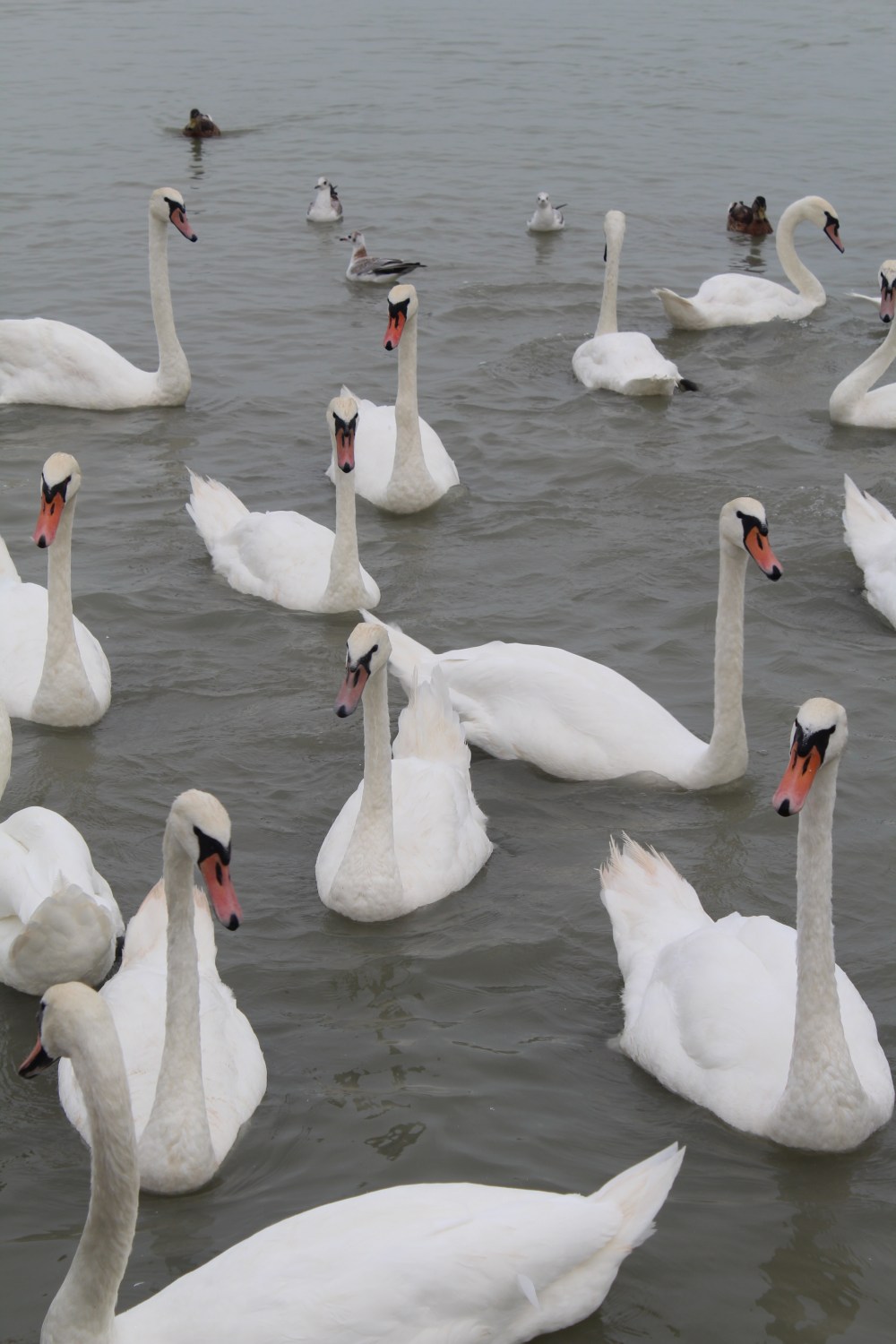 20190822082320_IMG_4179