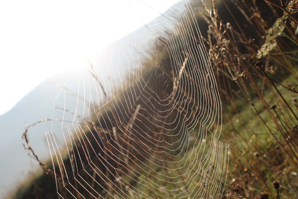 20190828223741_IMG_4183