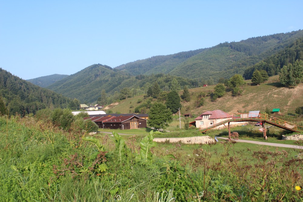 20190828225509_IMG_4197